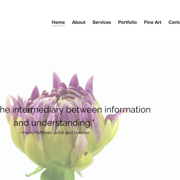 Lange Creative Services Web Design