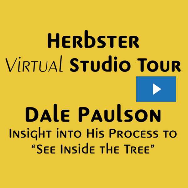 Virtual Studio Tour Artist Profile Videos